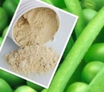 Pea protein