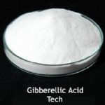 GIBBERELLIC ACID